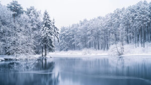 足立区・外壁塗装