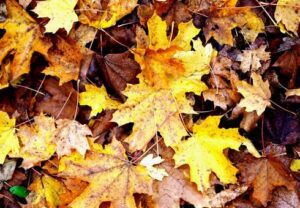 足立区・外壁塗装