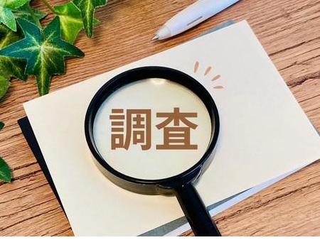 調査　画像