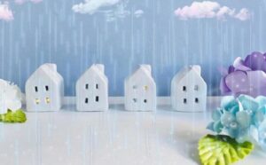 梅雨　画像