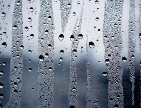 湿気 画像