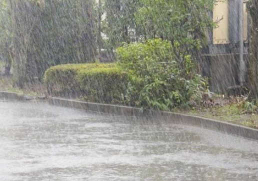 ゲリラ豪雨 画像
