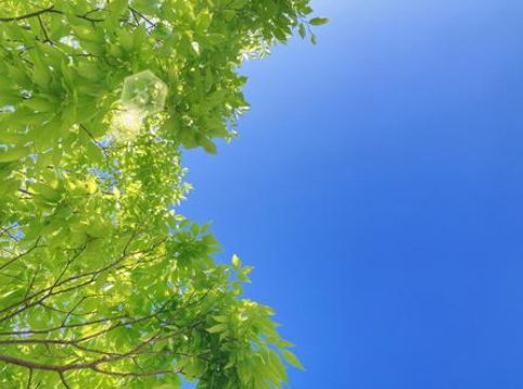 初夏　イメージ画像