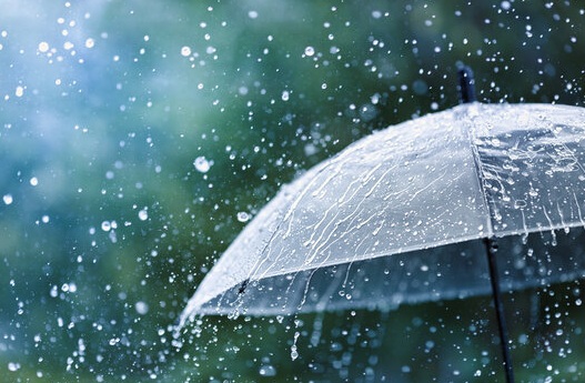 雨風　画像